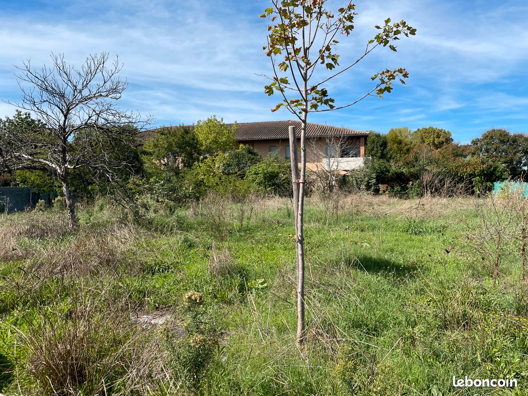 Terrain viabilisé plat · à Saint-Jory · 134 900 €