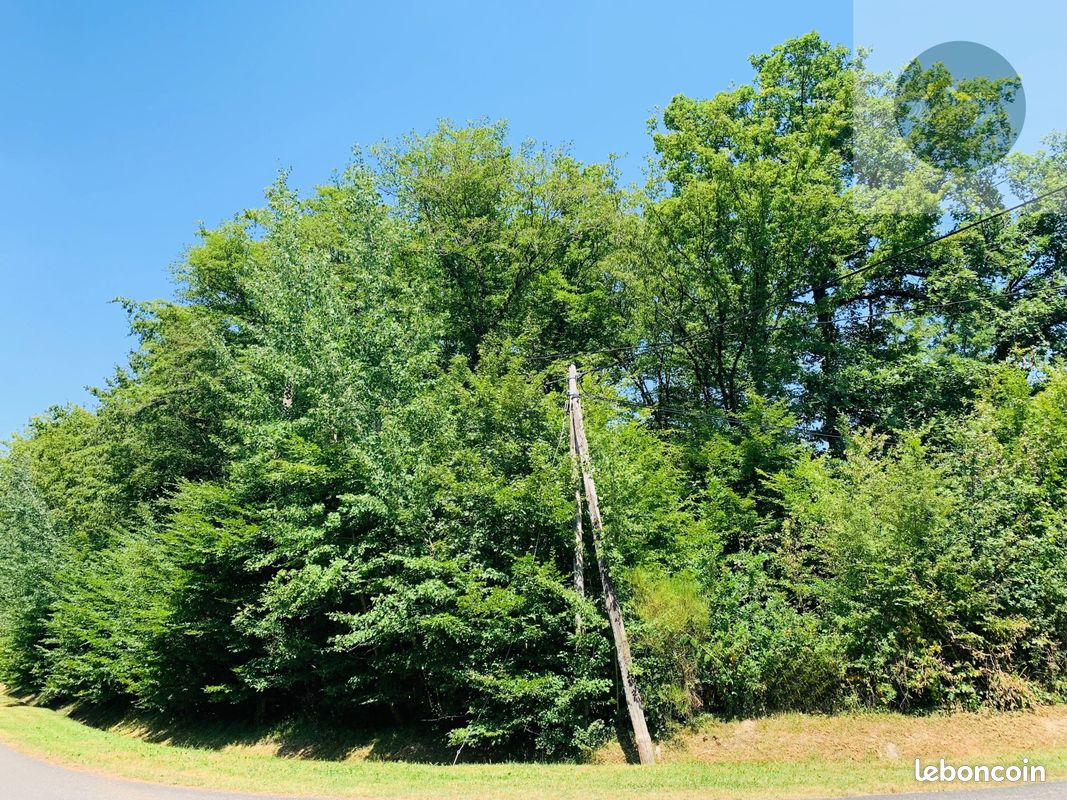 Terrain 2336 m² · à Bazoches-sur-le-Betz · 2 336 m² · 35 000 €