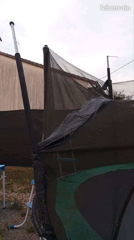 Trampoline (image 3)