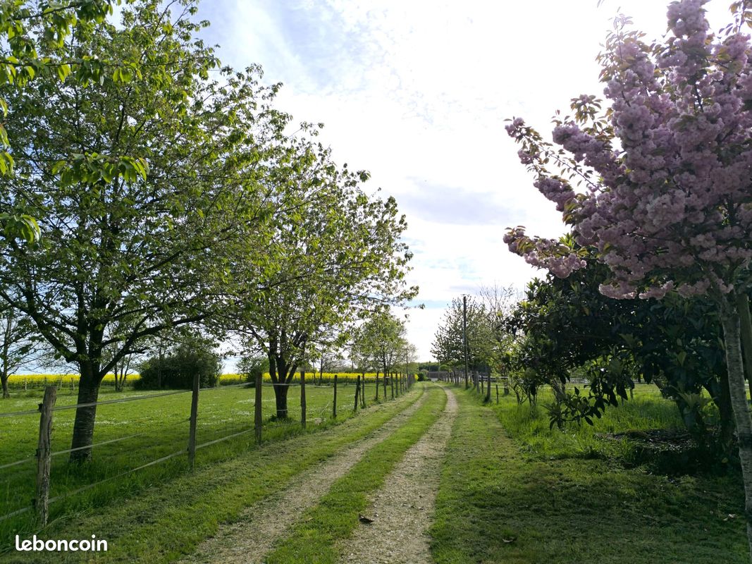 Ancien Corps de Ferme Exceptionnel avec 2 Maisons sur 2,3 Hectares (image 10)