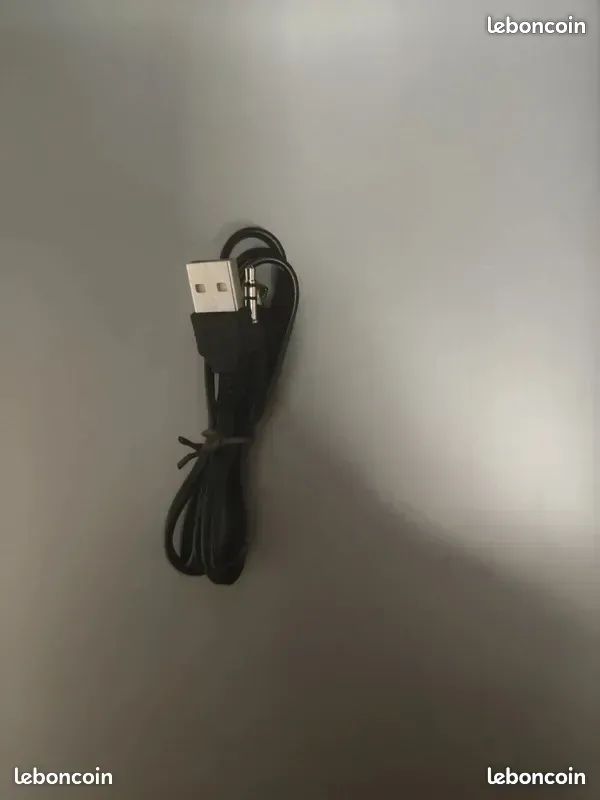 Câble micro USB vers USB et jack (image 2)