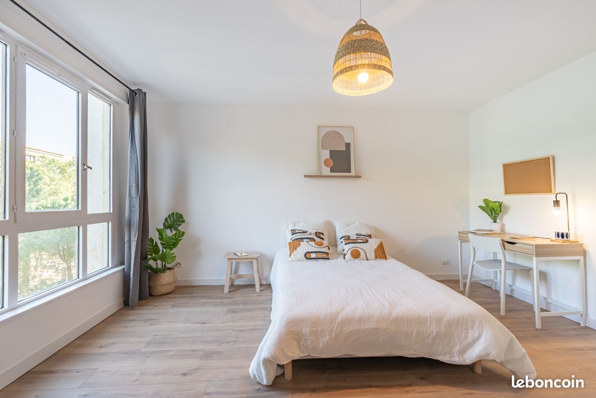Chambre meublée - grand appartement de 160m² - tout inclus - Quartier Antigone (image 7)