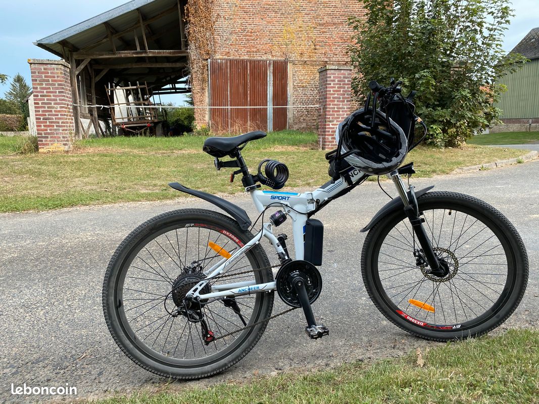 Vélo électrique élégant et cadre robuste 250w, vitesse max de 25km/h (image 3)
