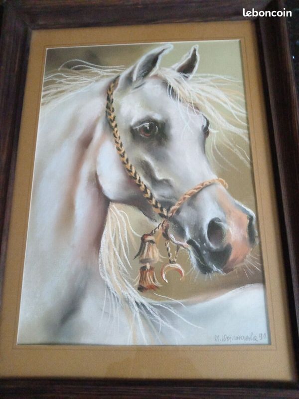 Dessin d'un cheval pur sang Arabe signé (image 1)