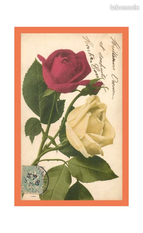 A584 / 659 Fleur Rose (image 1)