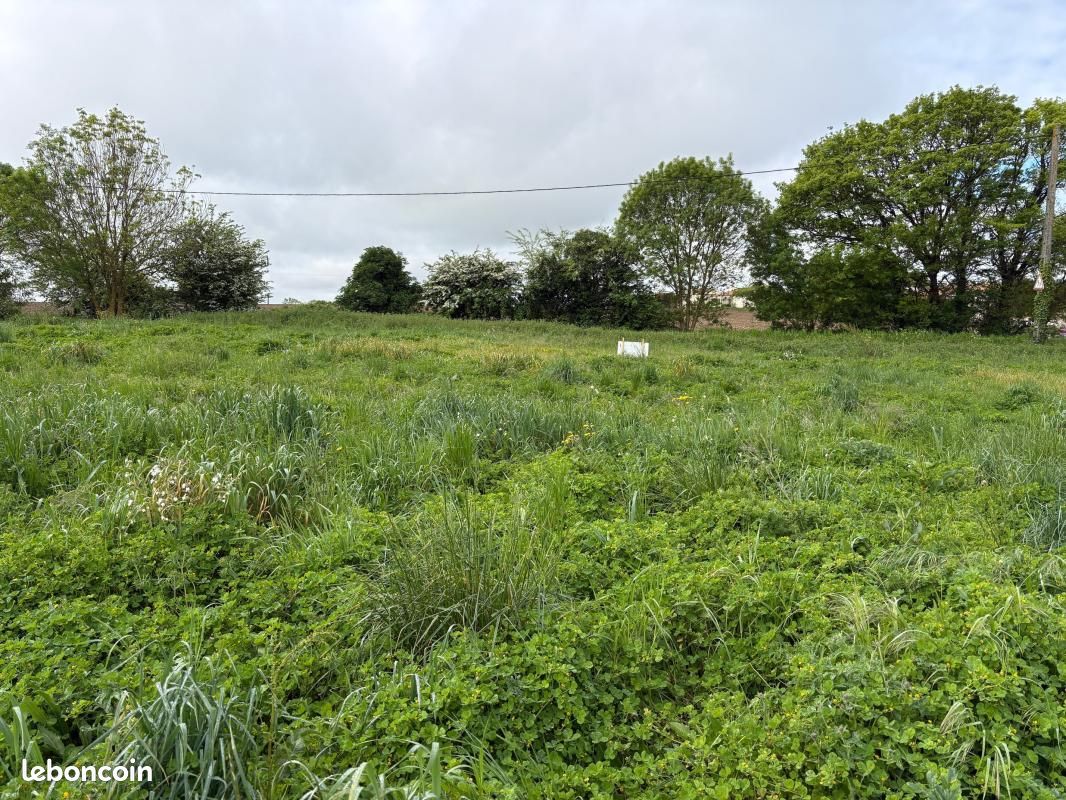 Terrain 250 m² Angliers · 67 900 €