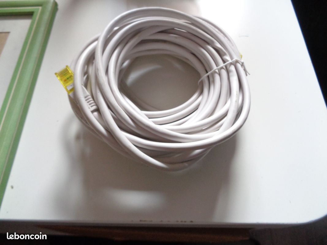 Câble réseau RJ45 de 10m (image 1)