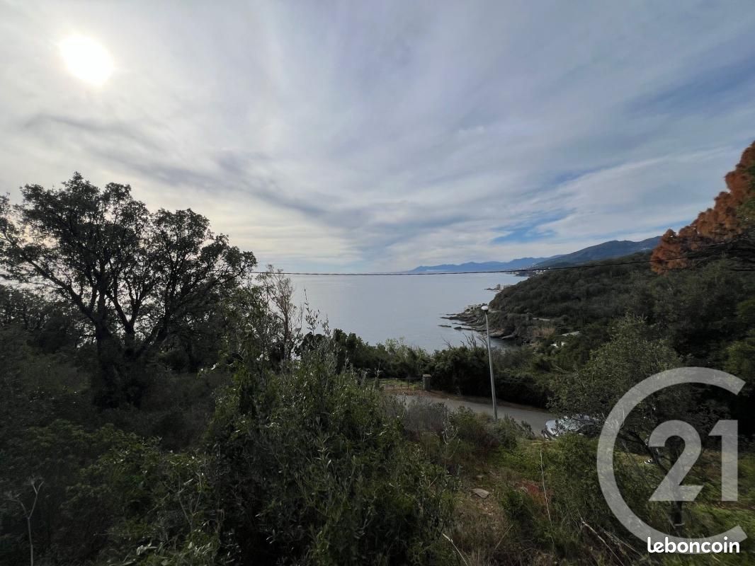 Terrain 1 079 m² Brando · 363 000 €