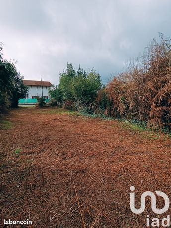Terrain 242 m² Labenne