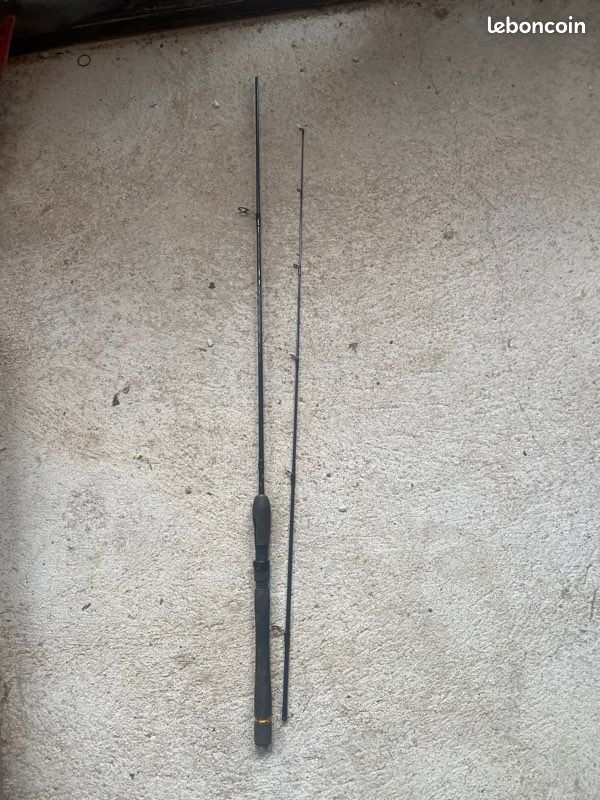 Canne spinning daiwa (image 1)