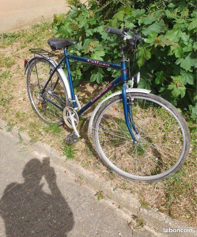 Vélo adulte (image 3)
