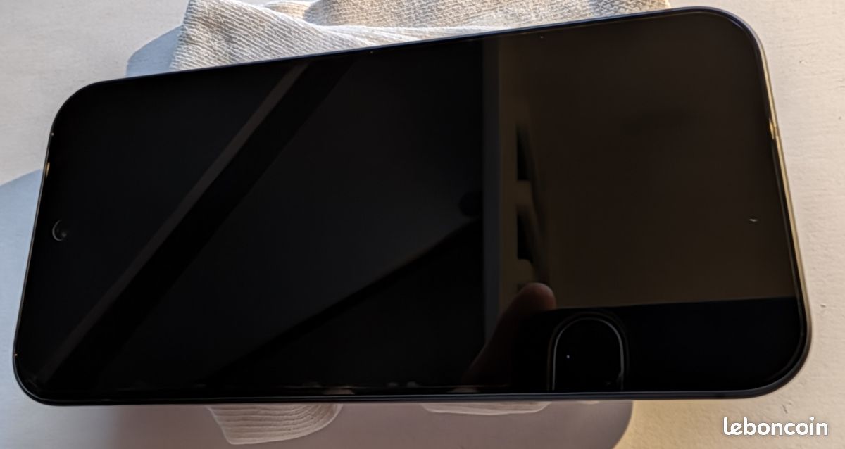 Pixel 9 256Go (image 13)