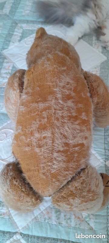 Rare et très bel ours ancien allemand Petz (image 16)