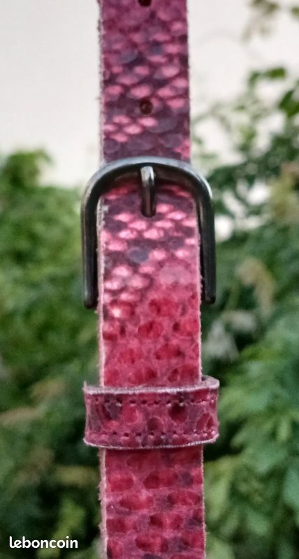 Ceinture rouge-rose dégradé noir motifs serpents (image 2)