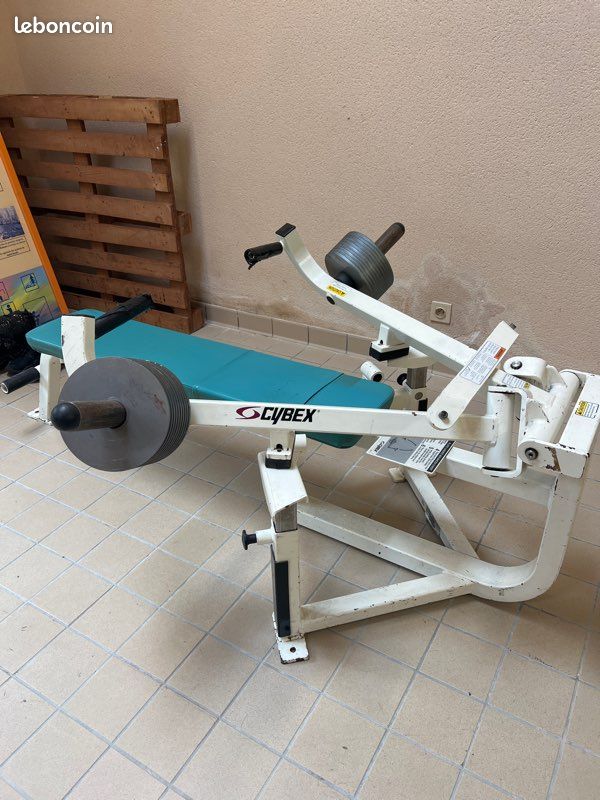 cybex sirona s2 Gold Newborn Insert, For Child Seats of the and Sirona SX2 Series, Lava Grey: Buy Online at Best Price in UAE Orvis Toiletry Organizer Cute Travel Color:AL Craw