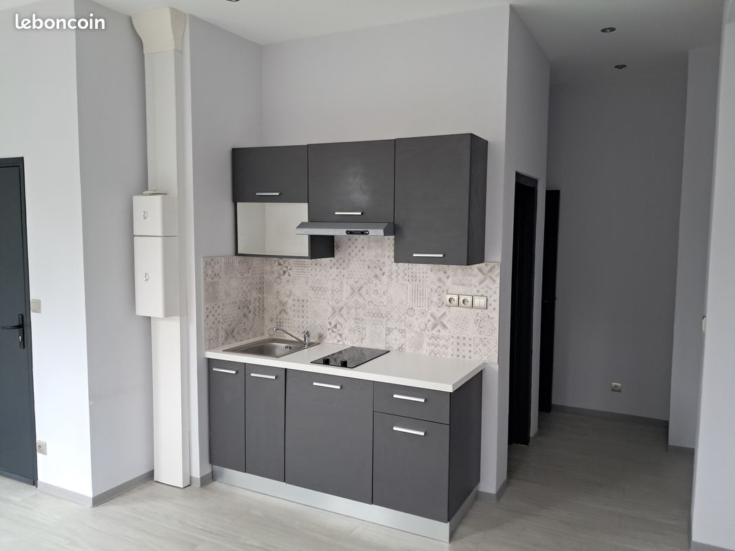 Maison en duplex de 58m2, jardin, cave et deux place de parking à Houppeville, domaine la forêt à 500m du Houlme, gare Malaunay, proximité Bois Guillaume, Montre Saint Aignan et Rouen rive droite (image 2)
