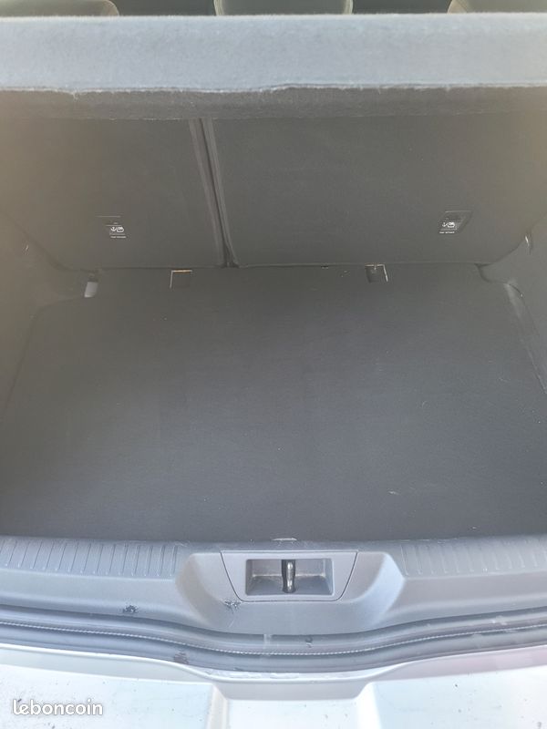 Megane 4 business blue dci 115 / diesel / promo (image 6)