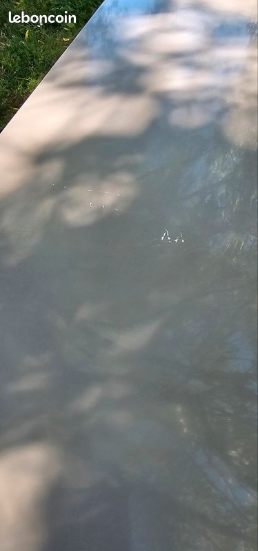 Table (image 5)