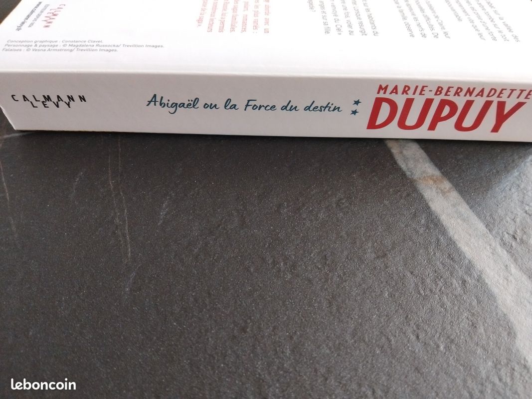Abigael ou la force du destin Marie-Bernadette Dupuy (image 3)