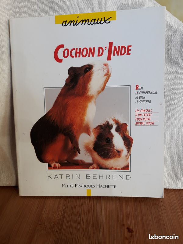 Cochon d Inde ou cobaye (image 1)