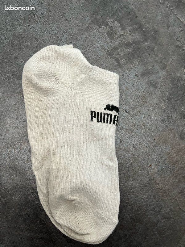 Lot de chaussettes puma blanche (image 2)