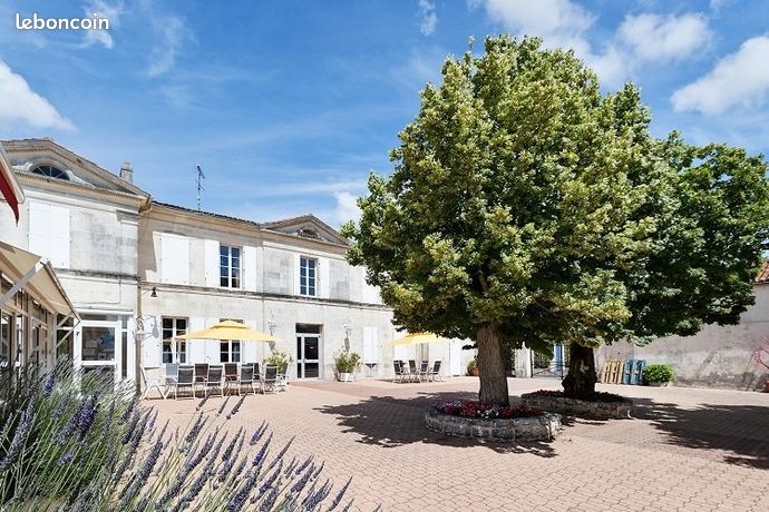 Appartement 1 pièce 20 m²