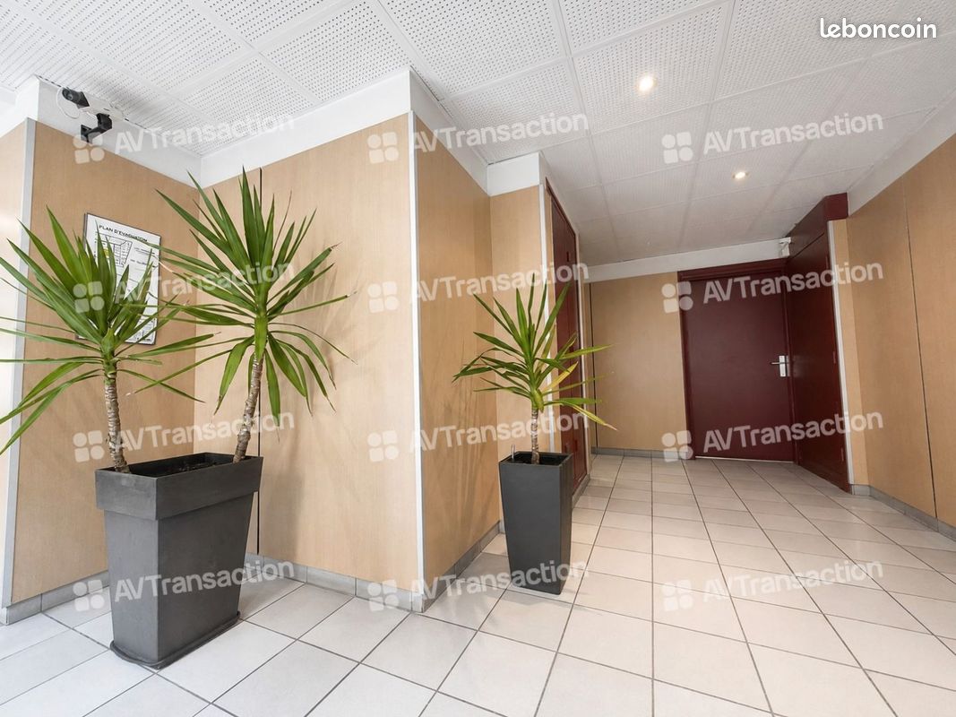 T3 de 57 m² – Rénové - 2 chambres – TRAM T1 -T4 ET T6 (image 5)