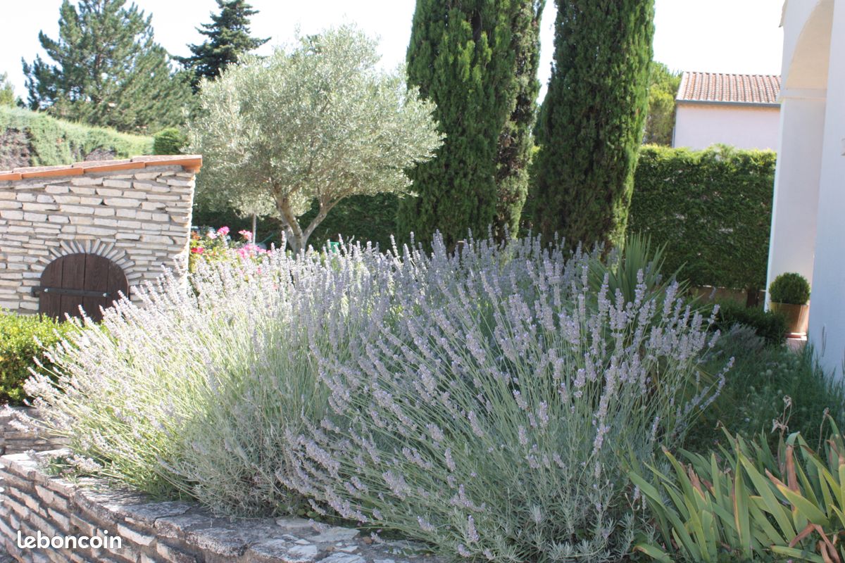 La bastide d'Eloîse, pont du gard (image 7)
