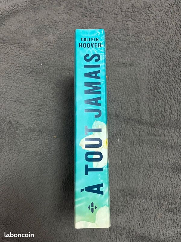 Livre "À tout jamais" de collen hoover (image 2)