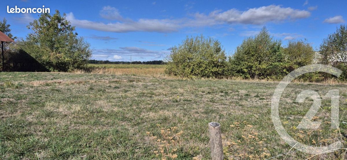 Terrain 638 m² Branges · 16 000 €
