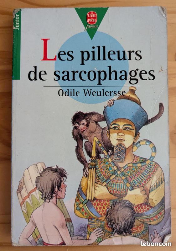 Livre Les pilleurs de sarcophages (image 1)