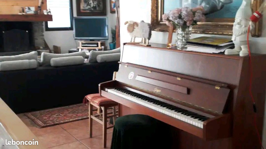 Belle maison 12 couchages prés de Saint lary Soulan classée 4 (image 17)
