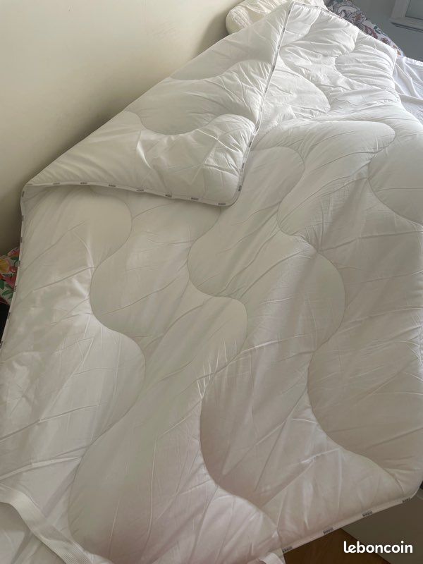 Surmatelas dodo (image 2)