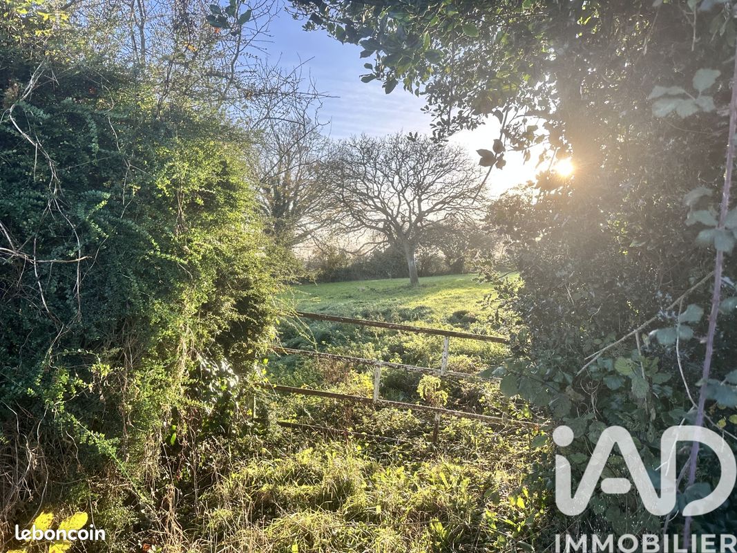 Terrain 970 m² · à Picauville · 970 m² · 22 000 €