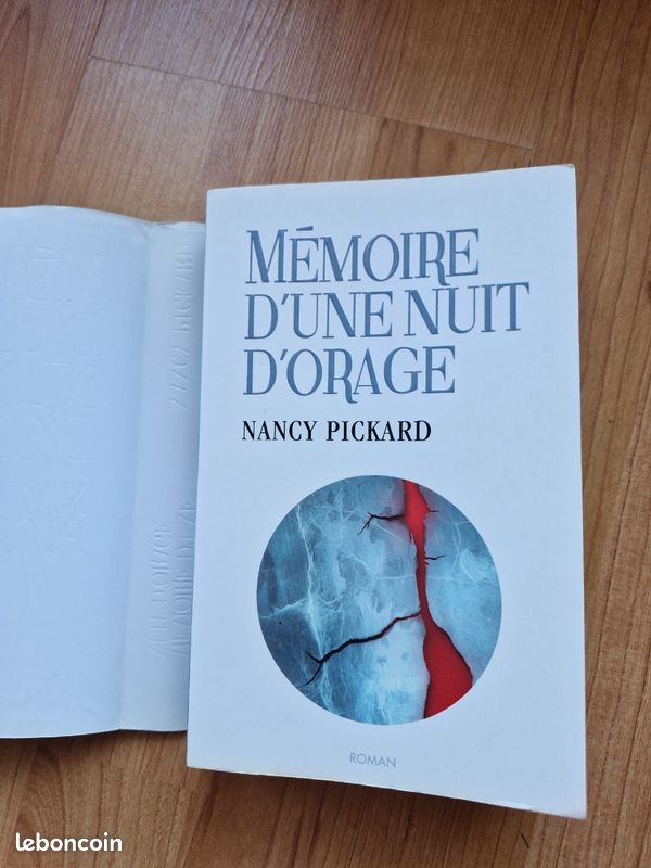 Mémoire d'une nuit d'orage (image 3)