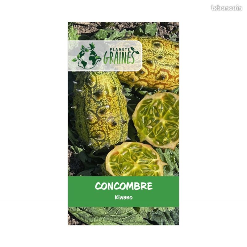 5 graines KIWANO fruits exotique / Concombre cornu (image 1)