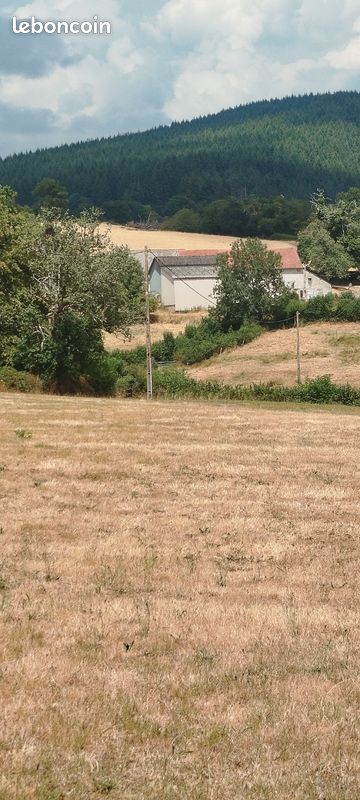 Bâtiment agricole · à Larochemillay · 140 000 €
