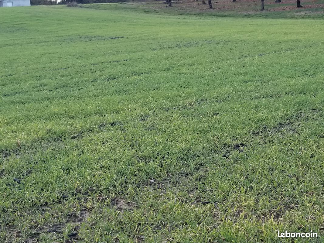 TERRAIN de 2488 m2 : voyez plus grand au même prix · à Asques · 33 800 €