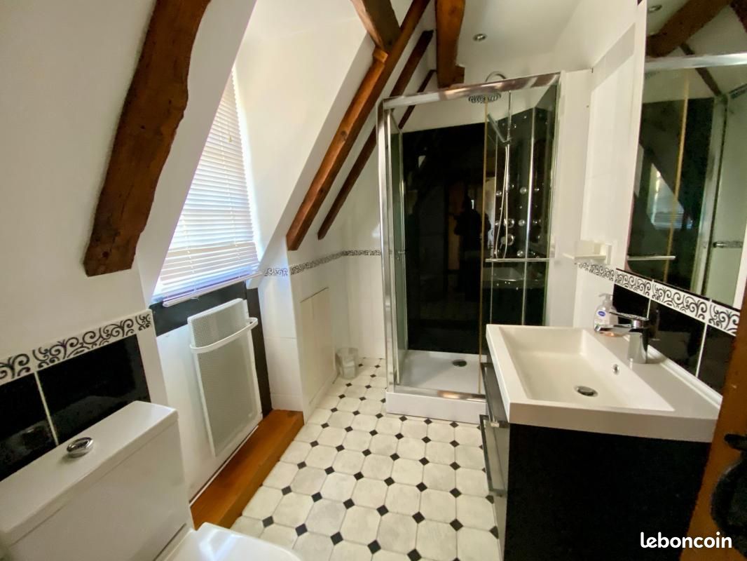 Maison 6 pièces 234 m² (image 17)