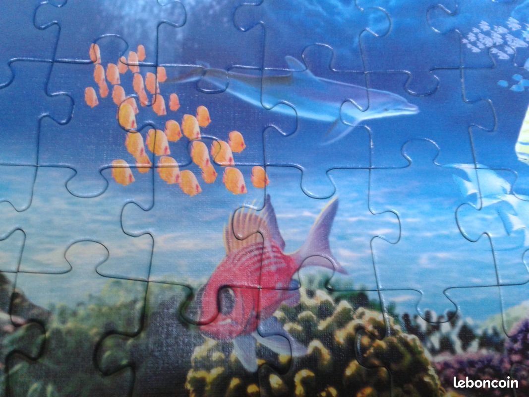 Puzzle animaux marins (image 2)