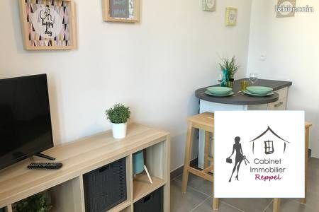Appartement 1 pièce 17 m² · à Rhinau · 17 m² · 480 €