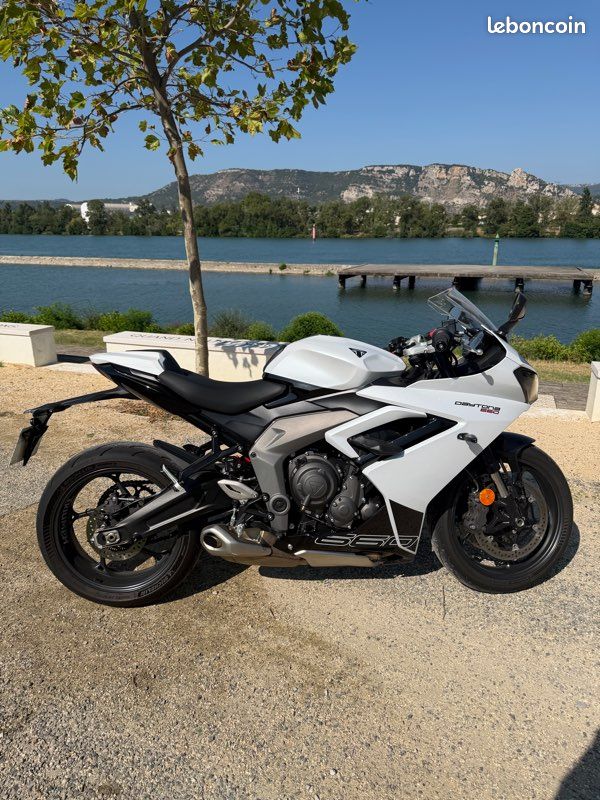 Daytona 660 (image 2)