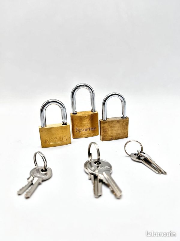 Servante d'atelier / Servante à outils sur roulettes + coffre amovible (image 16)