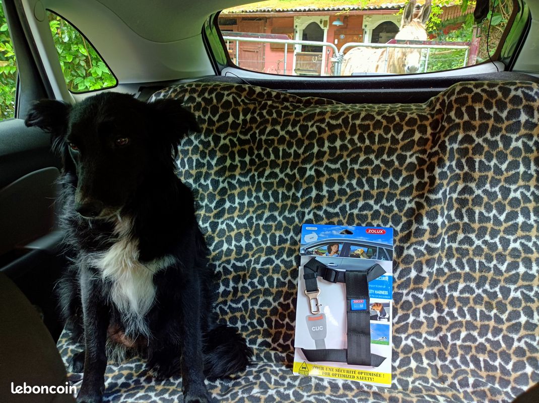 Harnais CHIEN de sécurité pour Auto (image 2)