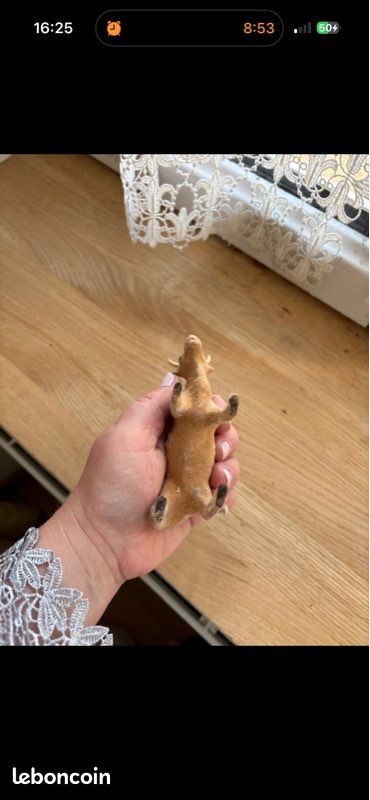 Bœuf, floqué devineau, excellent état (image 9)