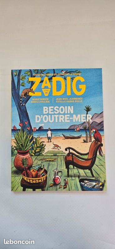 ZADIG N °06 - Besoin d’Outre-Mer (image 1)