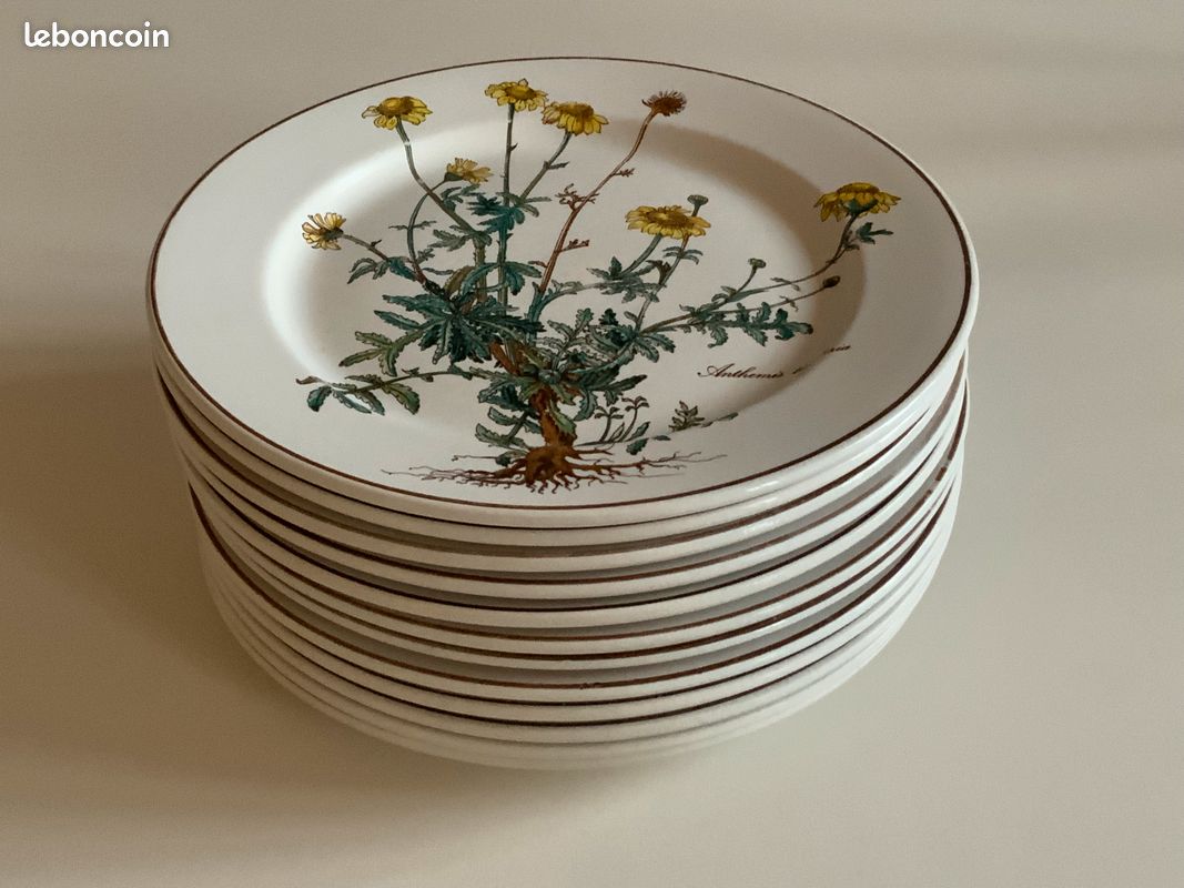 Assiettes neuves villeroy et boch d'occasion - Arts de la table - - page 2