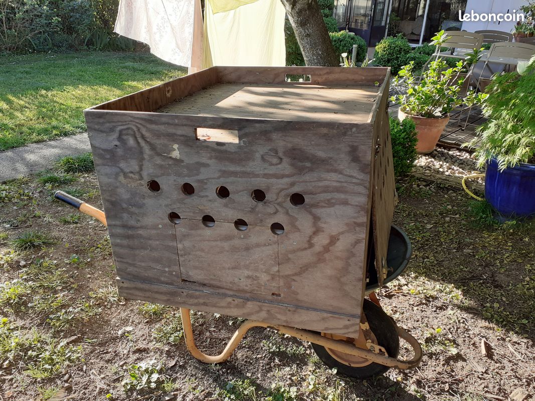 Caisse transport pour animal (image 1)