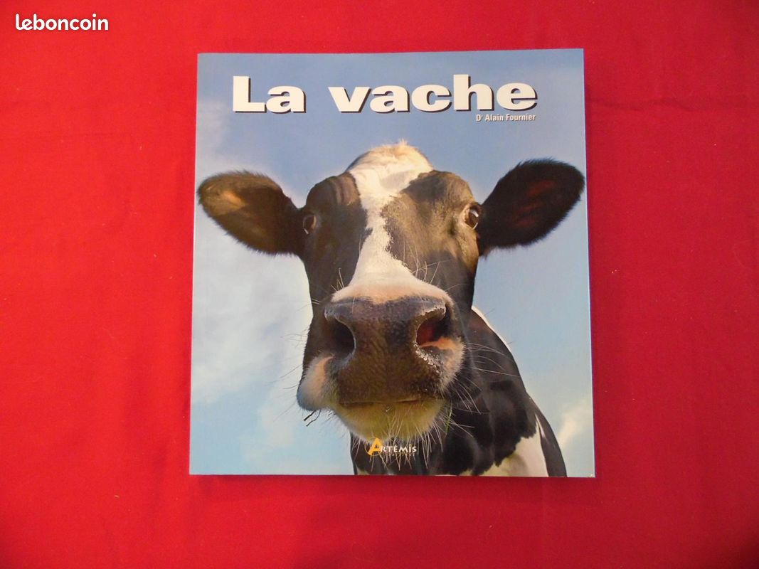La Vache -Dr Alain FOURNIER (image 1)