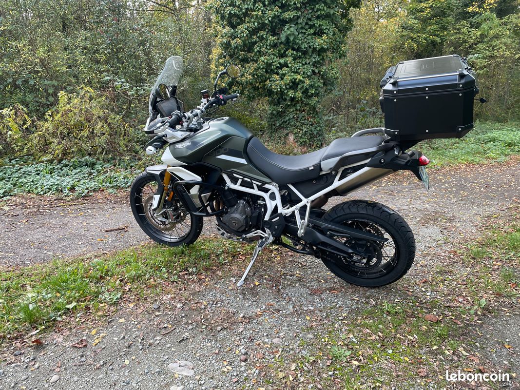 Triumph 900 Tiger Rally Pro Possib A 2 (image 3)
